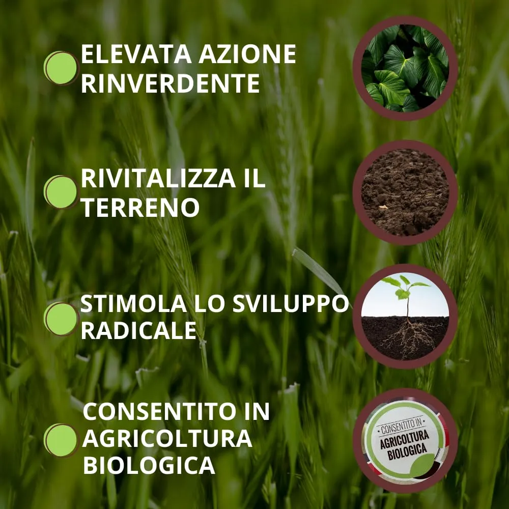 Vithal Blackjak fisioattivatore naturale 500 ml bio