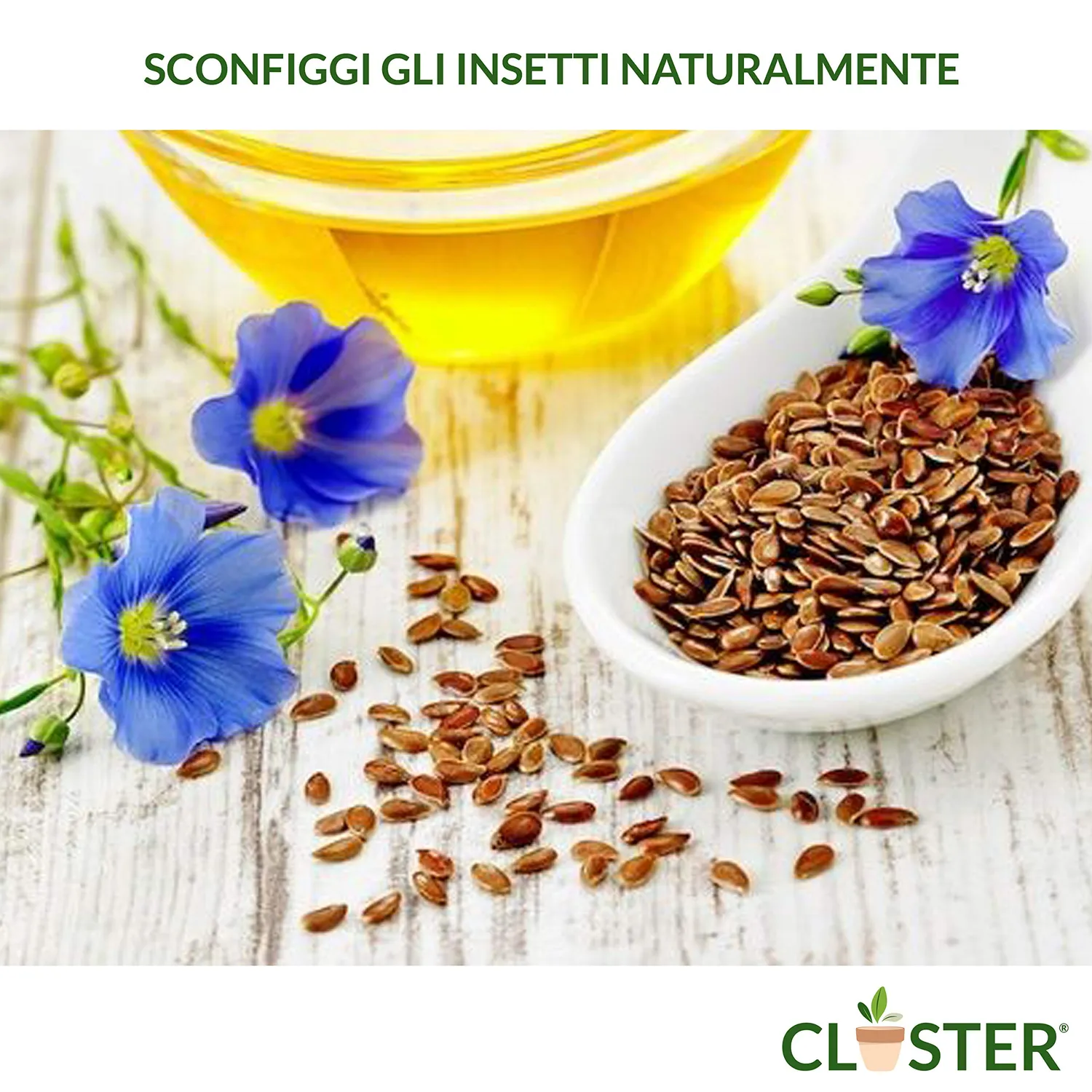 Closter Olio di Lino Spray Piante 500 ml Cocciniglia