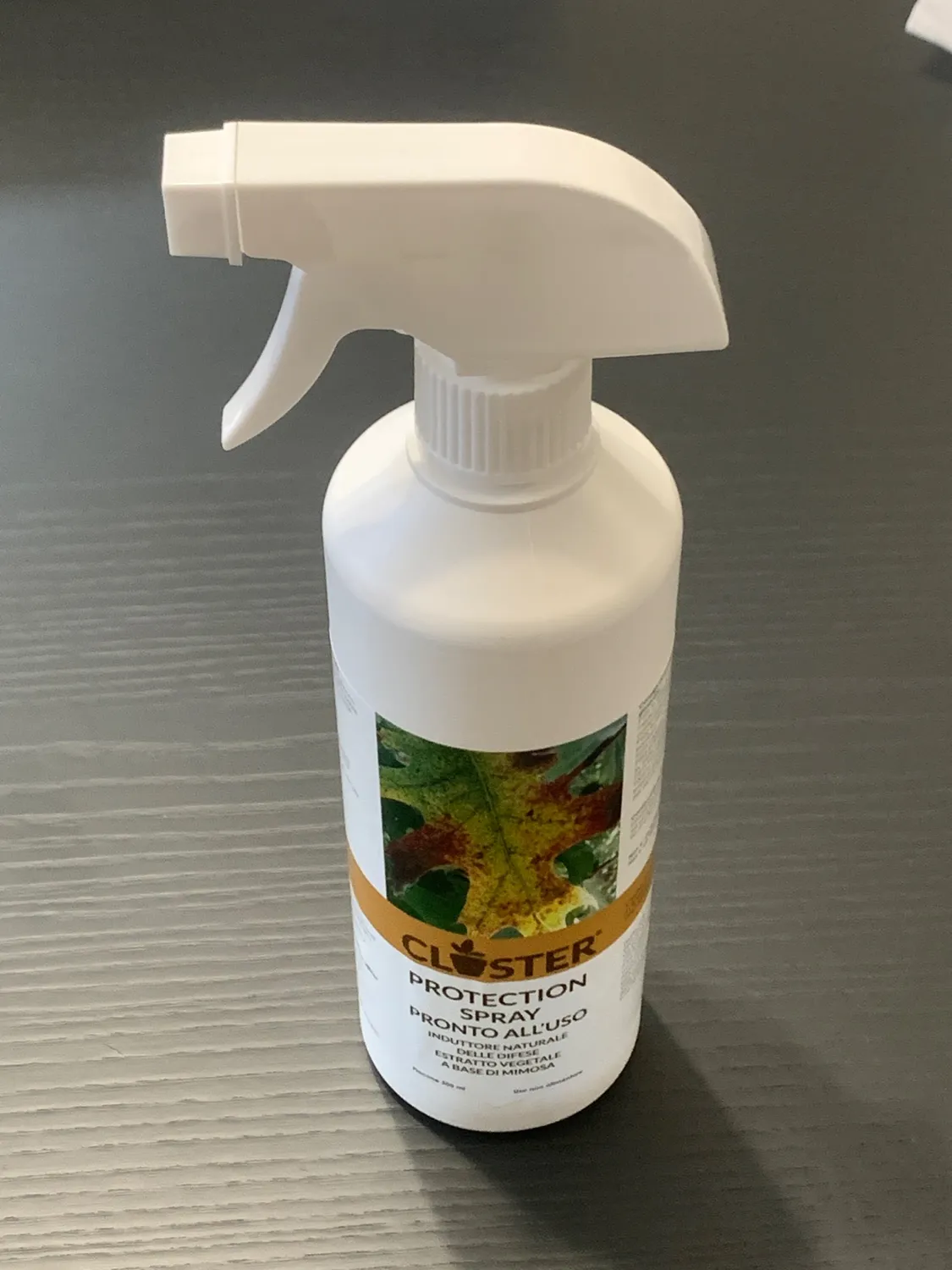 Closter Protection Spray Piante 500 ml Oidio