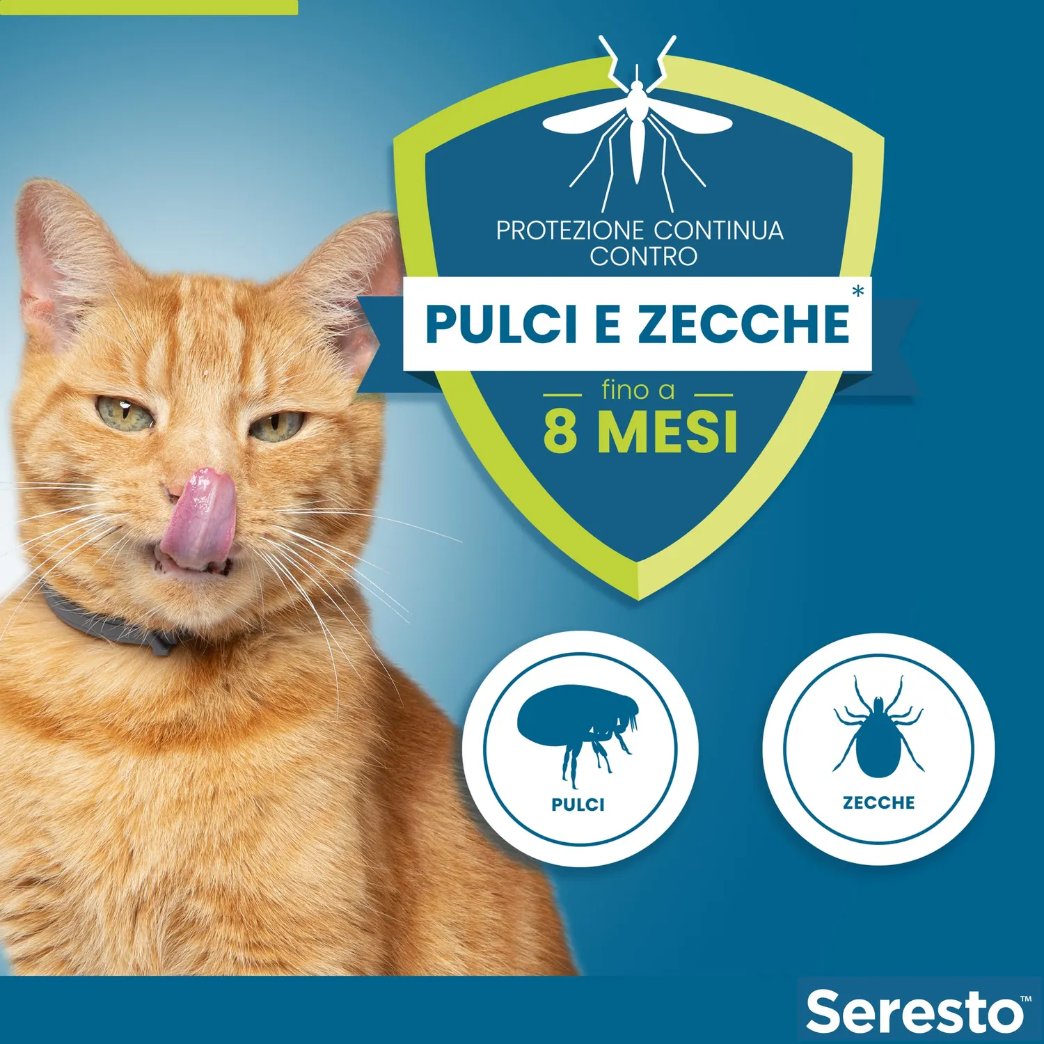 Elanco Seresto collare antiparassitario gatto 8 mesi grigio