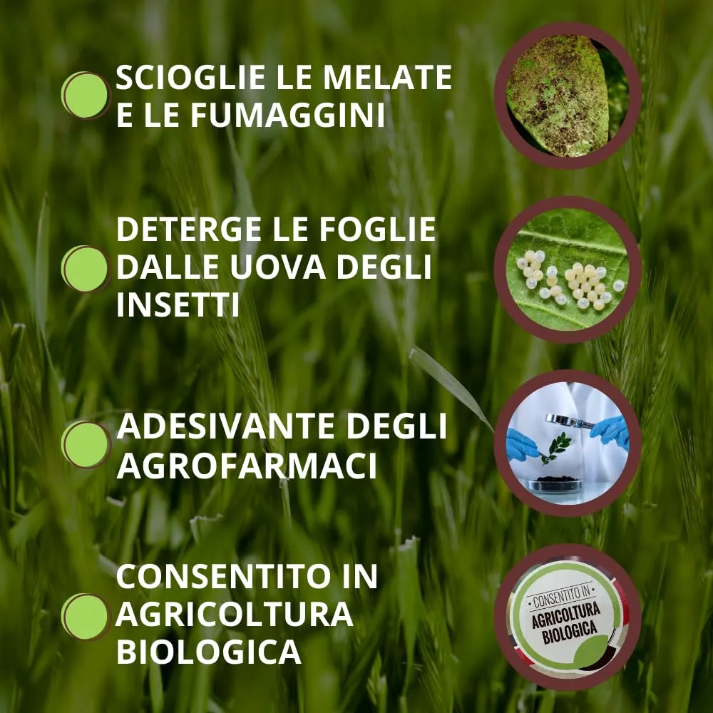 Vithal Biolid Sapone Molle Super K insetticida piante