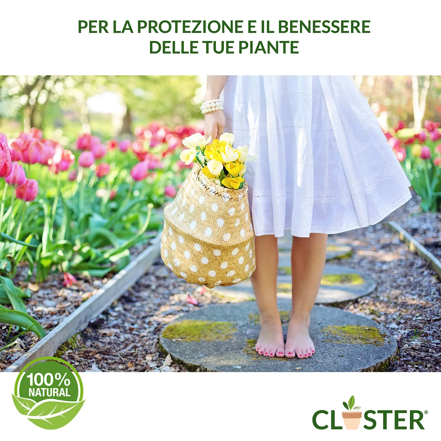 Closter Protection Spray Piante 500 ml Oidio