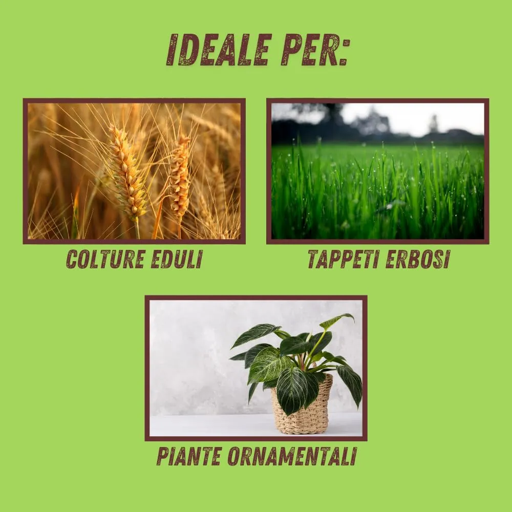 Vithal Zeolite polvere di roccia corroborante 1 kg bio