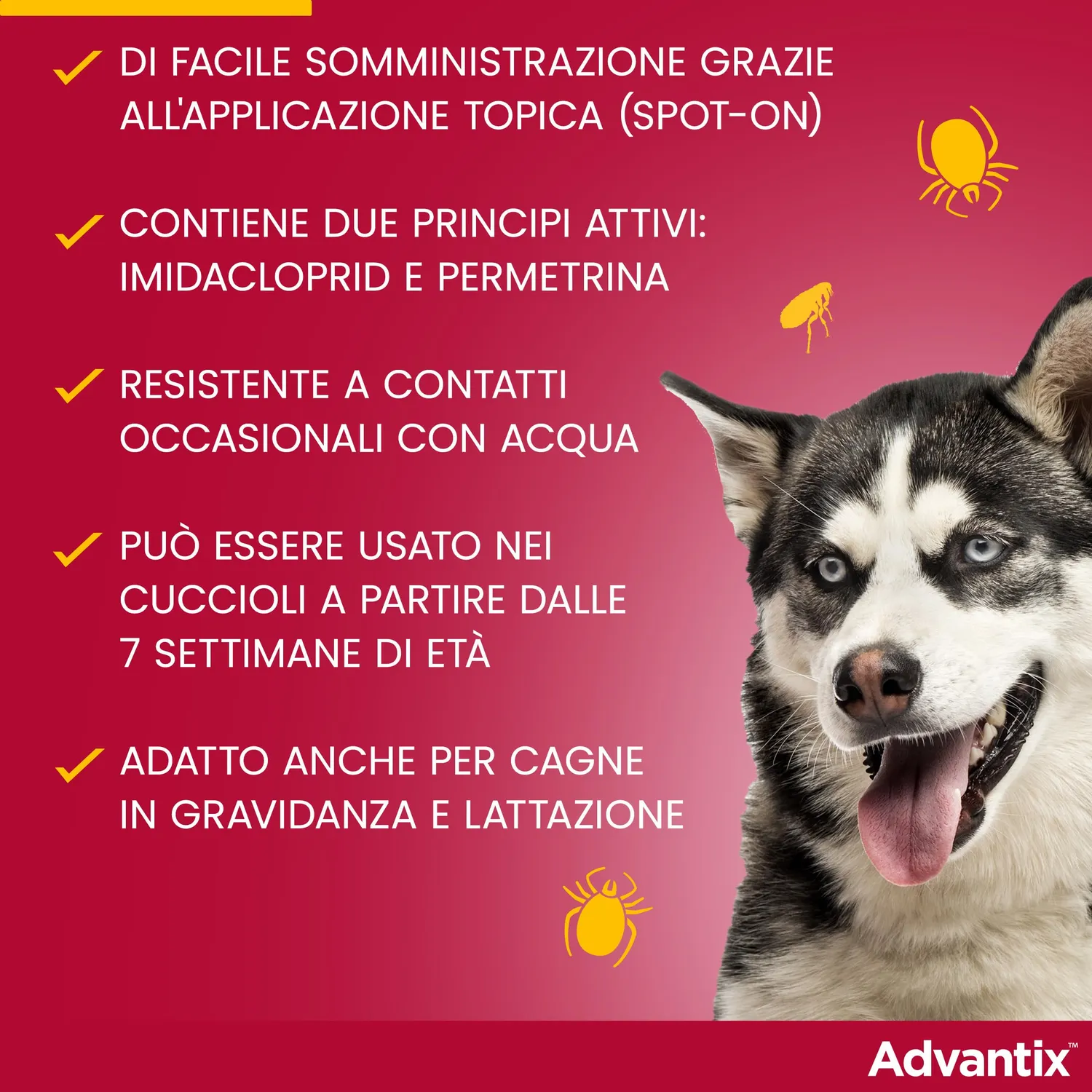 Elanco Advantix spot-on cani fino a 4 kg 4 pipette 0,4 ml