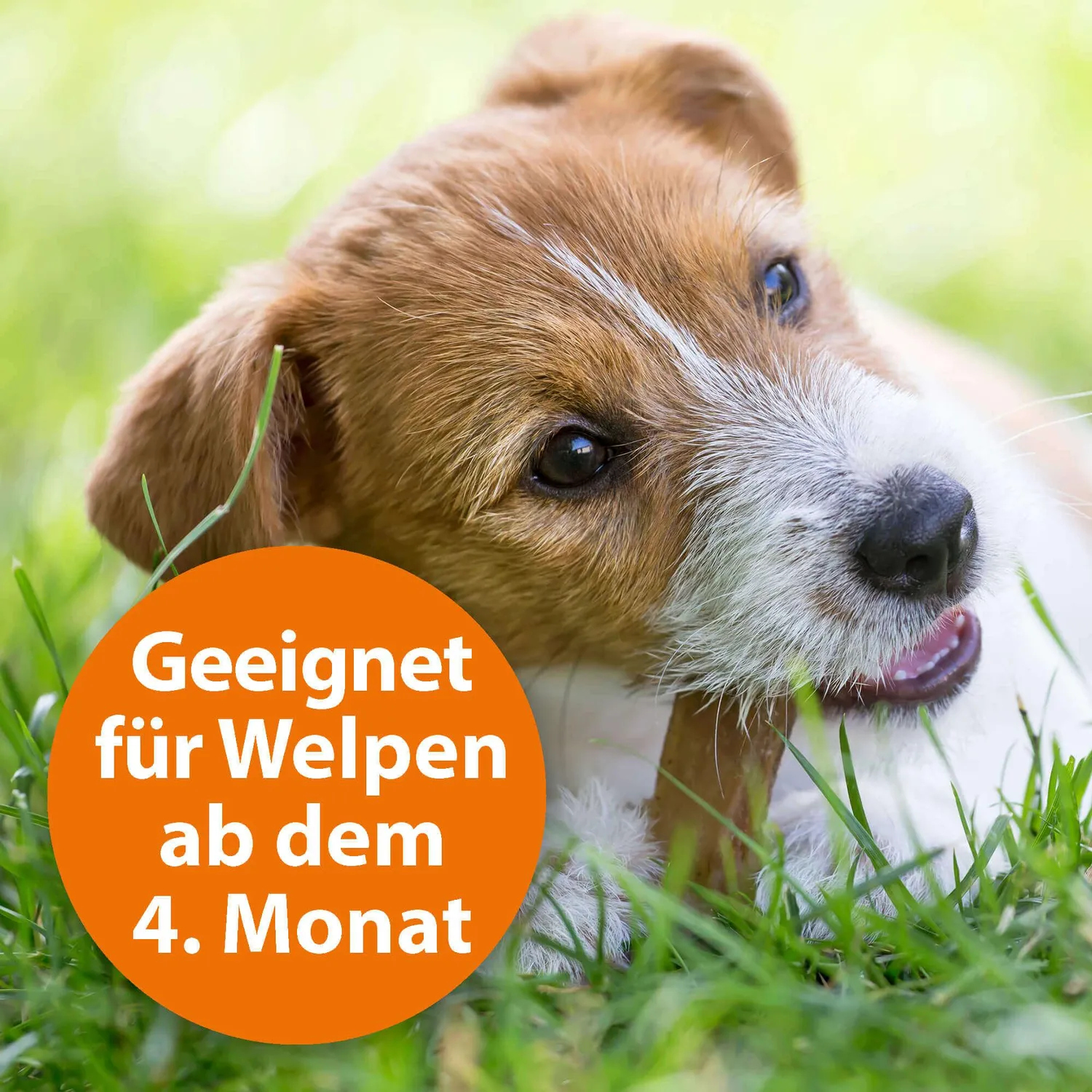 ARDAP Zecken- und Flohhalsband collare cani medi 10-25 kg