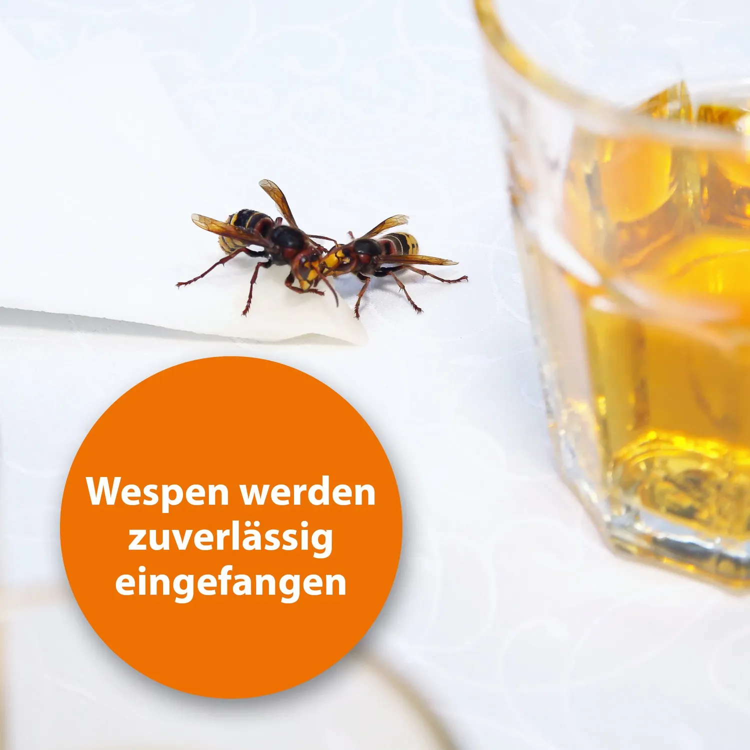 ARDAP Wespenfalle ricarica trappola vespe 2x125 ml