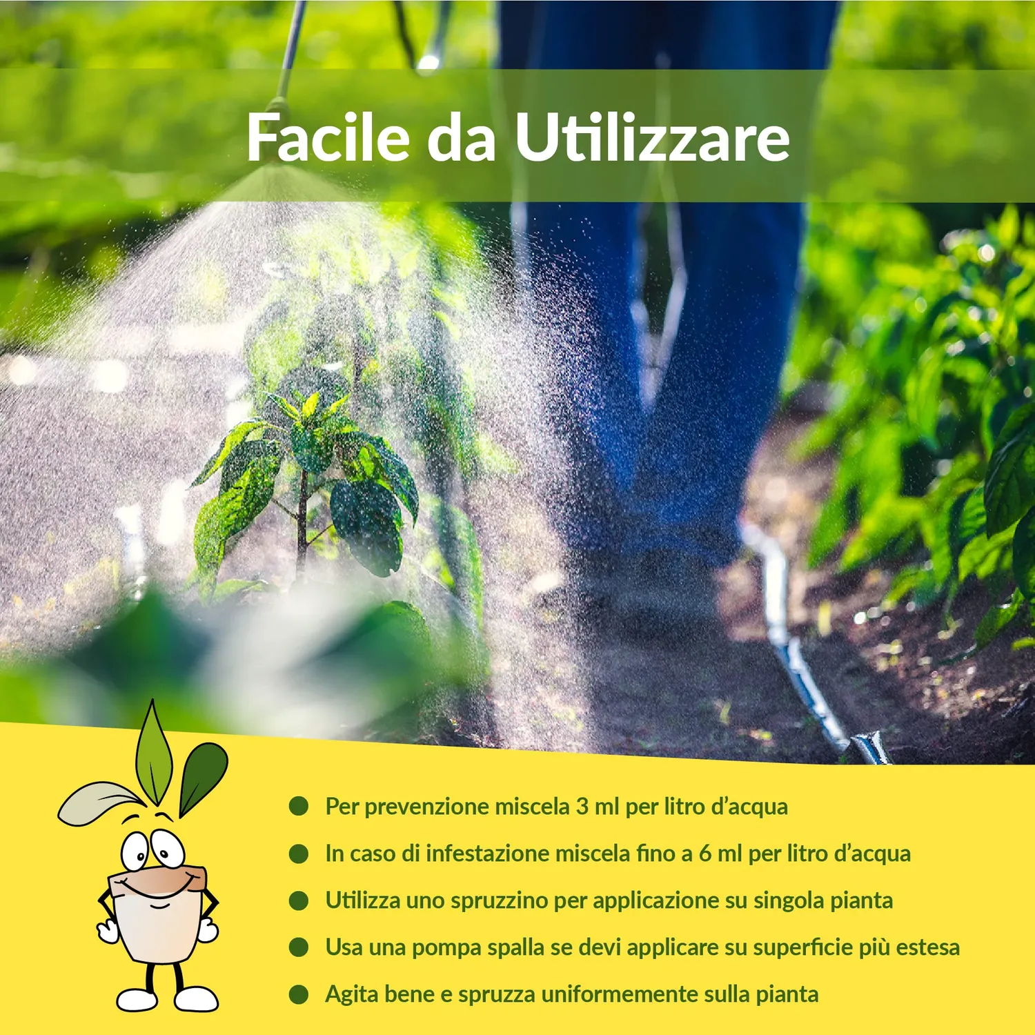 Closter Olio di Neem Puro Concentrato 250 ml per Piante
