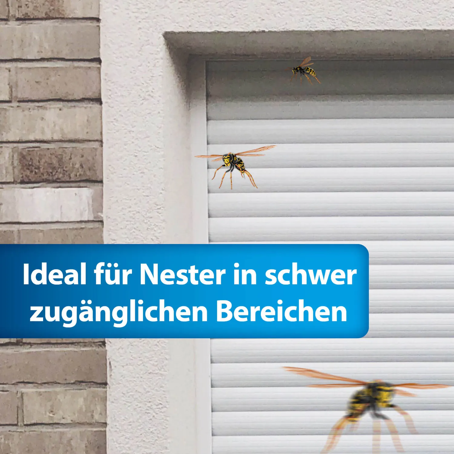 ARDAP Pro Wespen Schaumspray schiuma vespe 500 ml 2 in 1