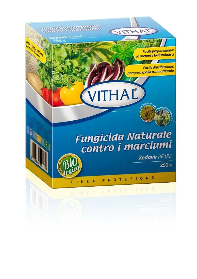 Vithal Fungicida Naturale contro marciumi polvere 250g piante
