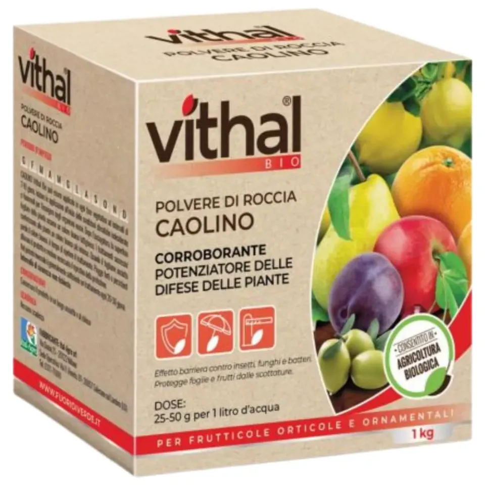 Vithal Biolid UP Caolino Polvere di Roccia 1kg Bio