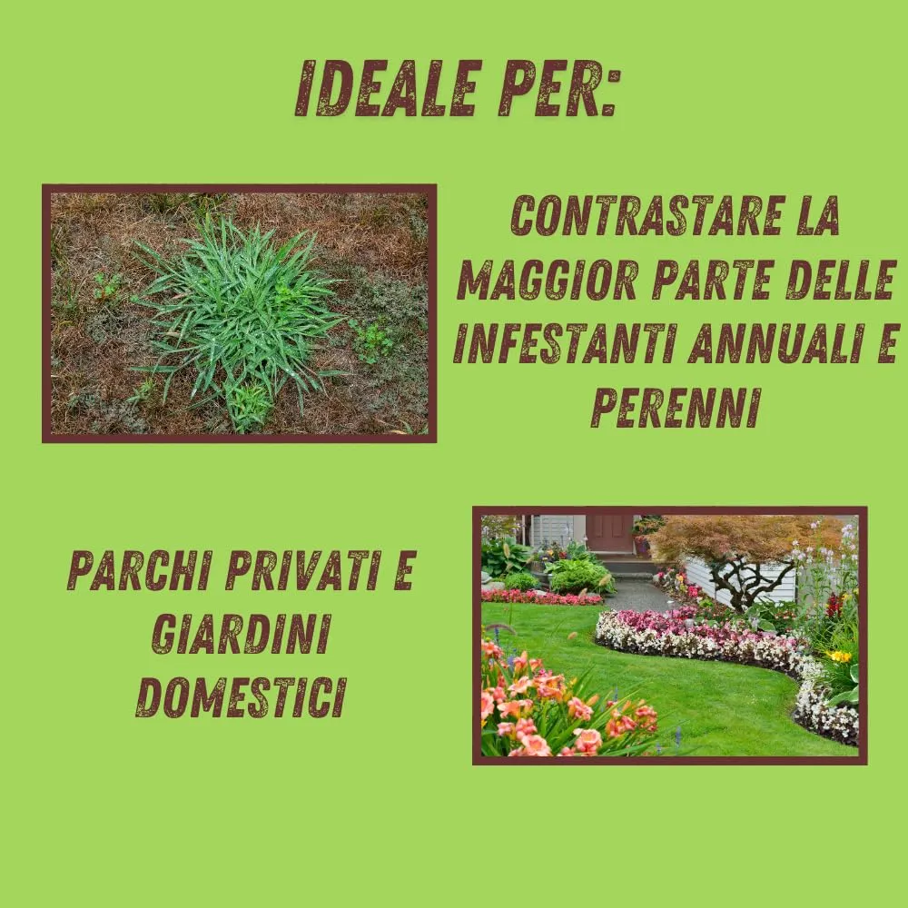 Vithal Biolid UP Aleavi Diserbante Naturale Rapido