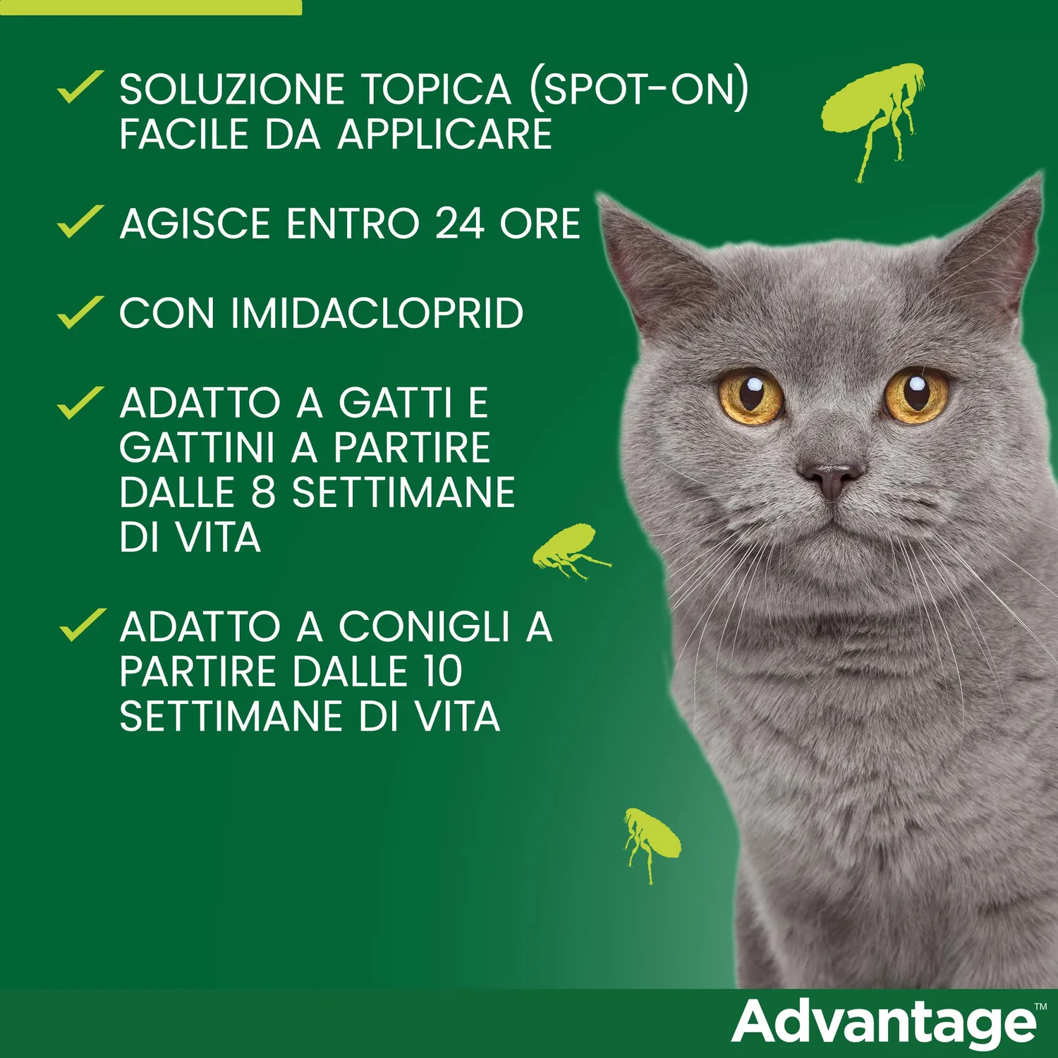 Elanco Advantage 40 mg spot-on gatti 4 pipette antipulci