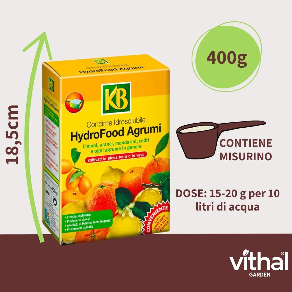Vithal HydroFood Agrumi concime idrosolubile 400 g alto potassio