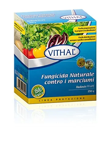 Vithal Fungicida Naturale contro marciumi polvere 250g piante