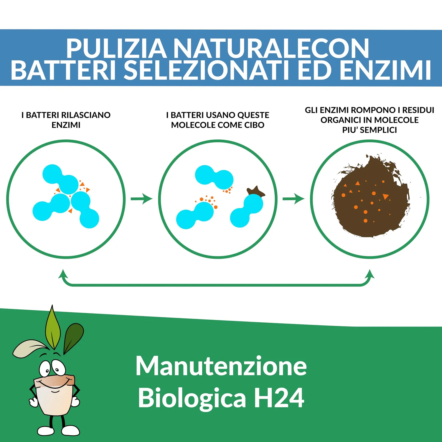 Closter Ecotrap attivatore fossa biologica 1,5 kg enzimi
