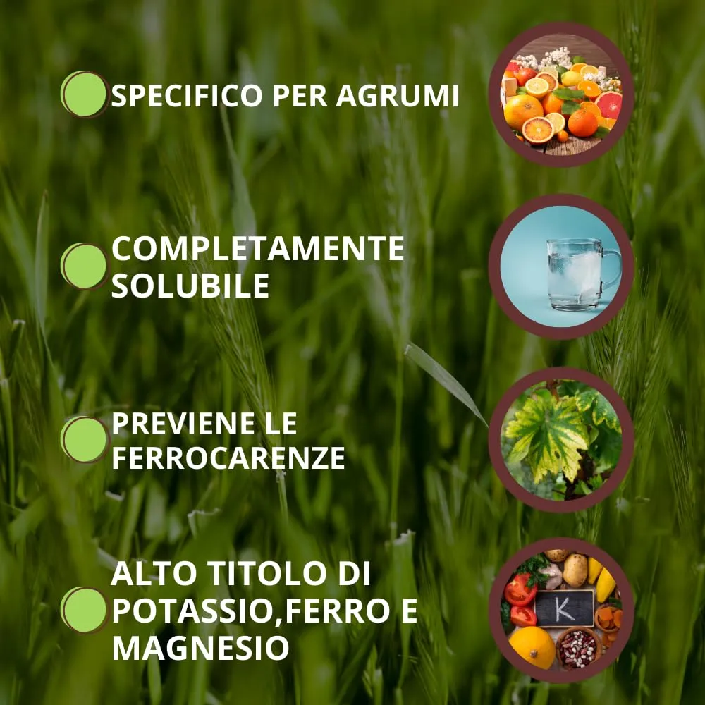 Vithal HydroFood Agrumi concime idrosolubile 400 g alto potassio