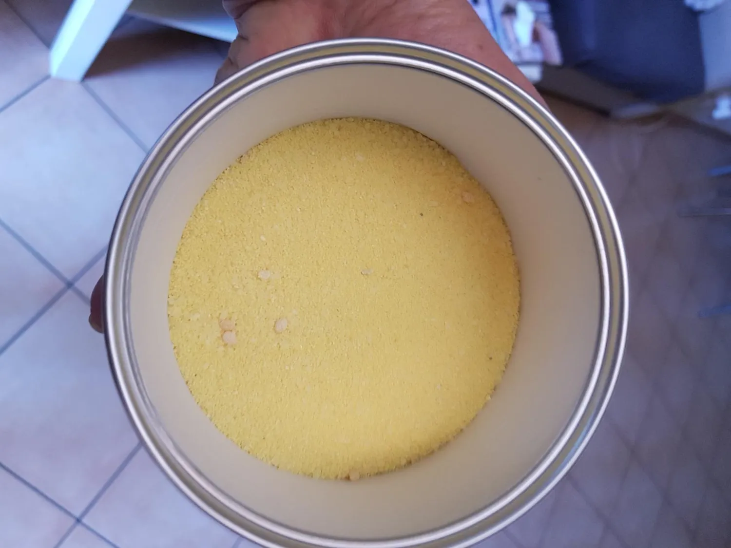 Vebi Moskita esca mosche in polvere 100 g imidacloprid