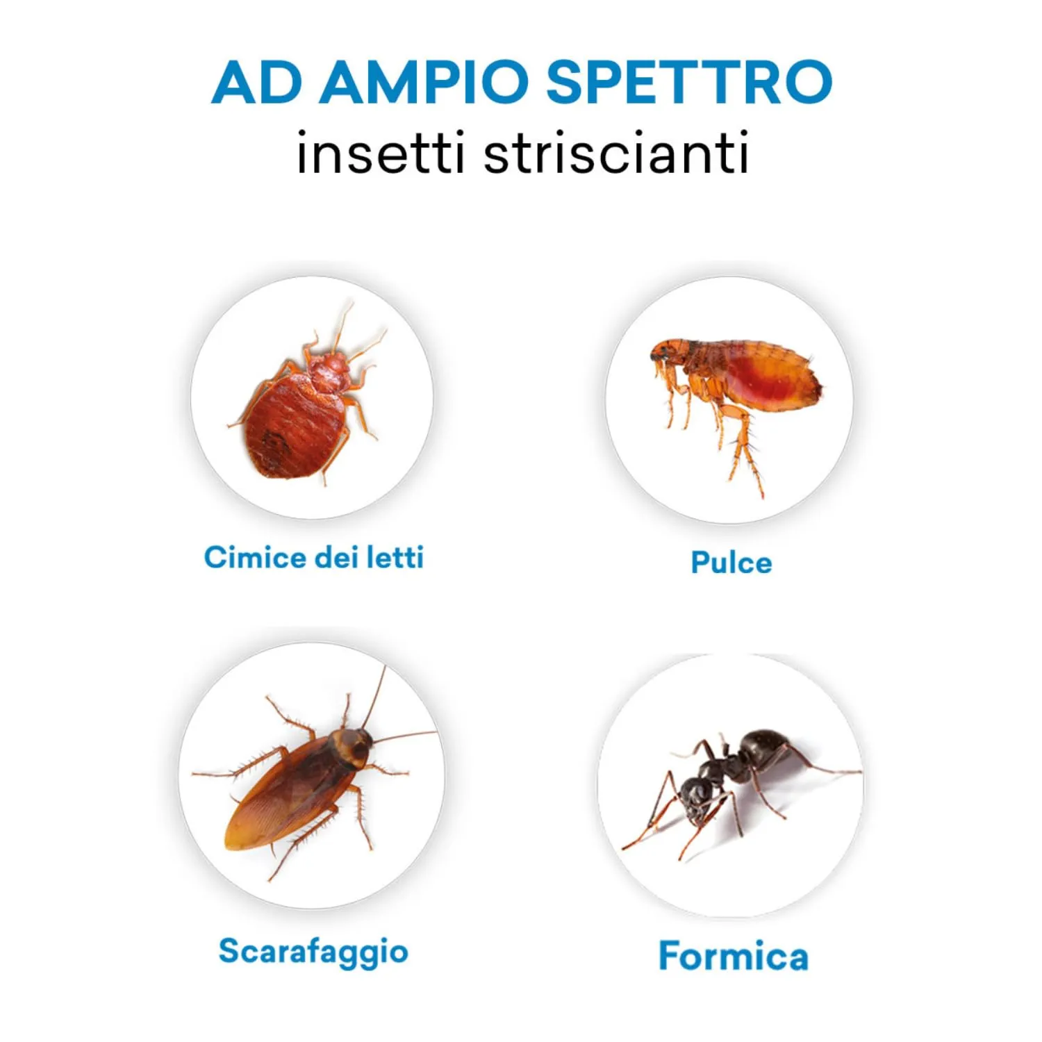 Vebi Duracid Fumogeno Insetticida 11 g Ampio Spettro