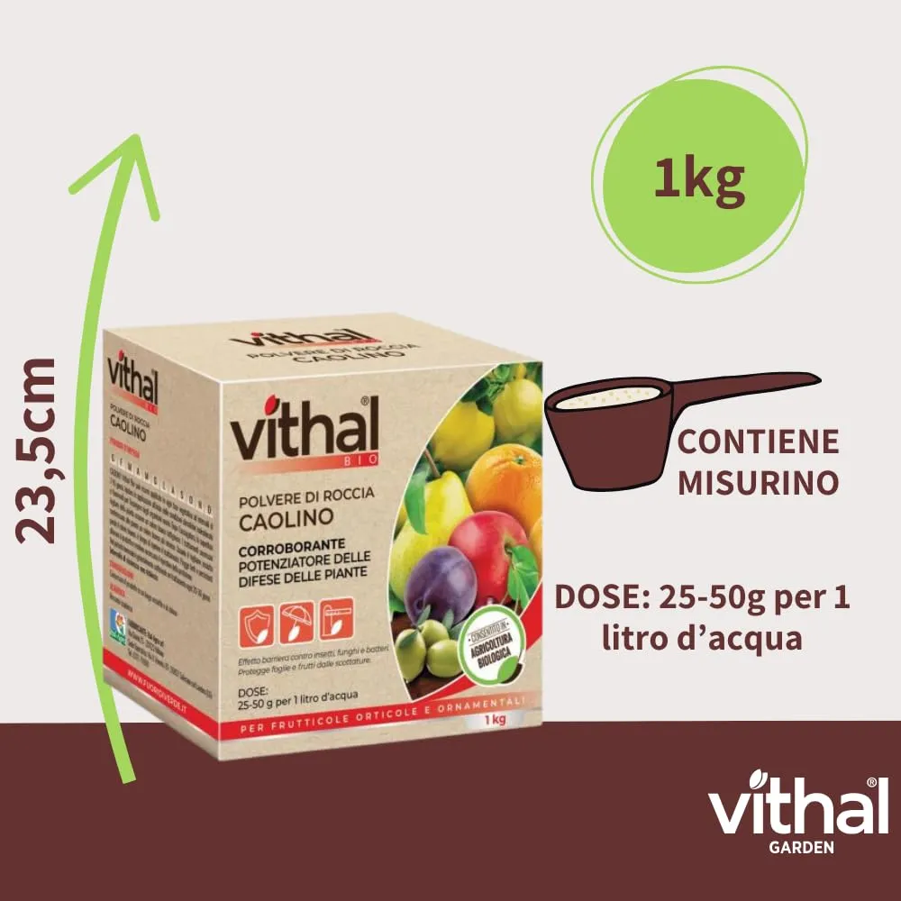 Vithal Biolid UP Caolino Polvere di Roccia 1kg Bio