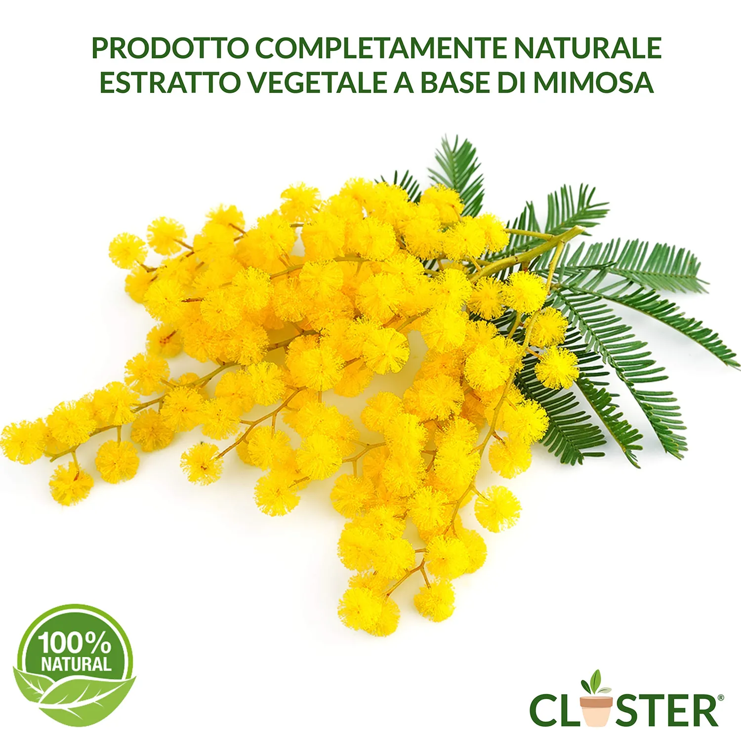 Closter Protection Spray Piante 500 ml Oidio