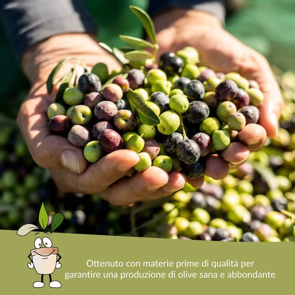 Closter Olivo concime liquido 1 litro NPK con ferro