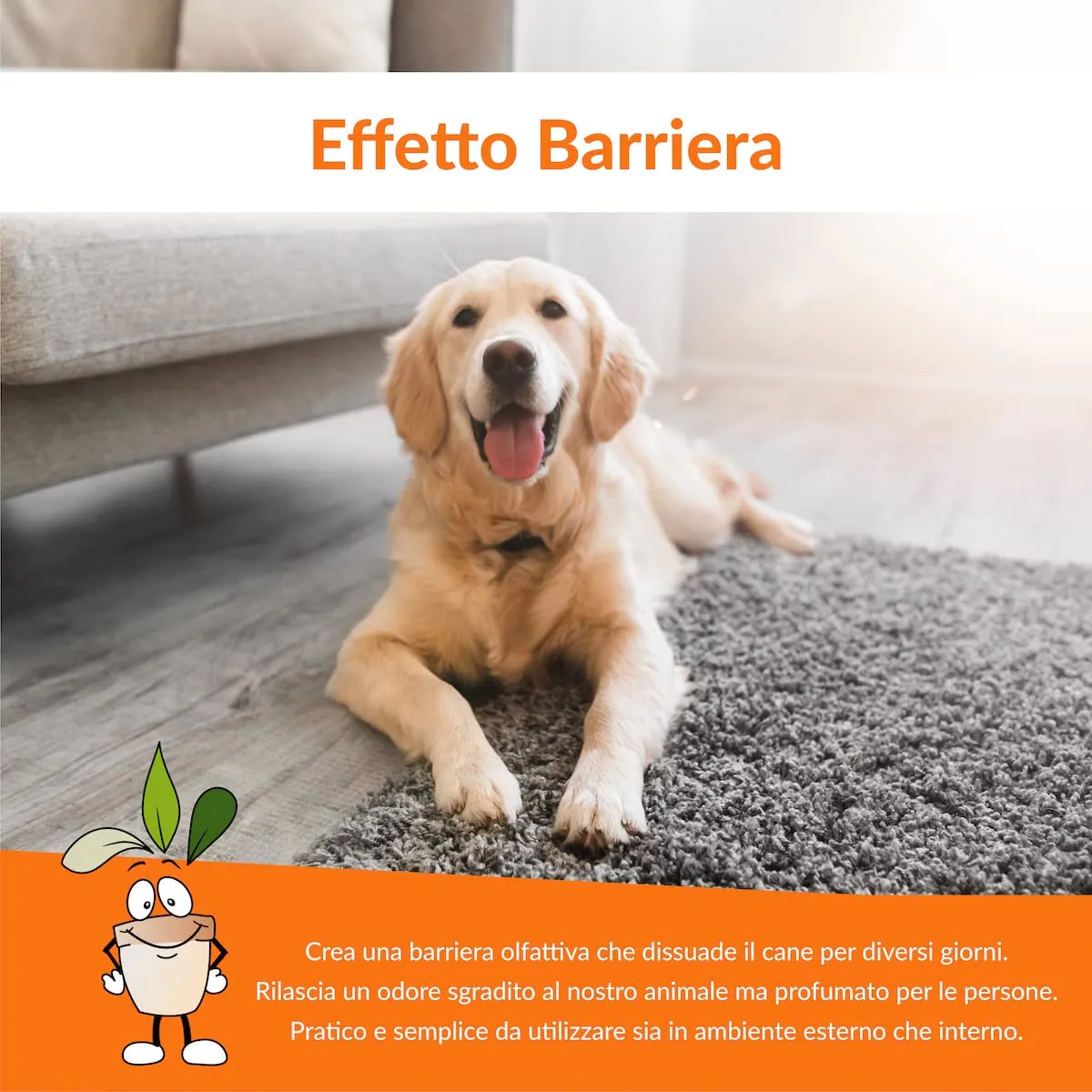 Closter Stoppee disabituante cani spray 750 ml agrumi