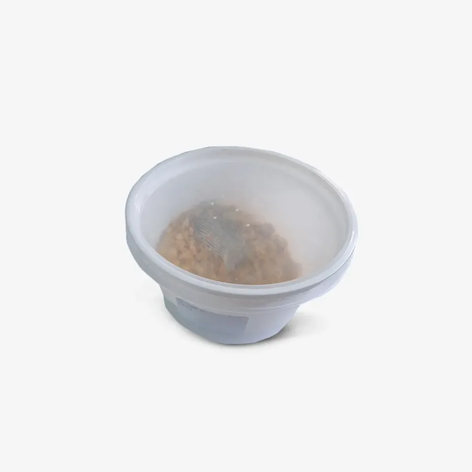Cyperfum Bio-Test Md2 controllo tignole alimenti