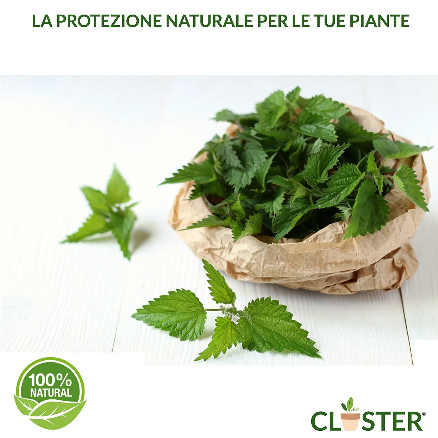 Closter Macerato di Ortica Fertilizzante 1 L Ferro Zinco