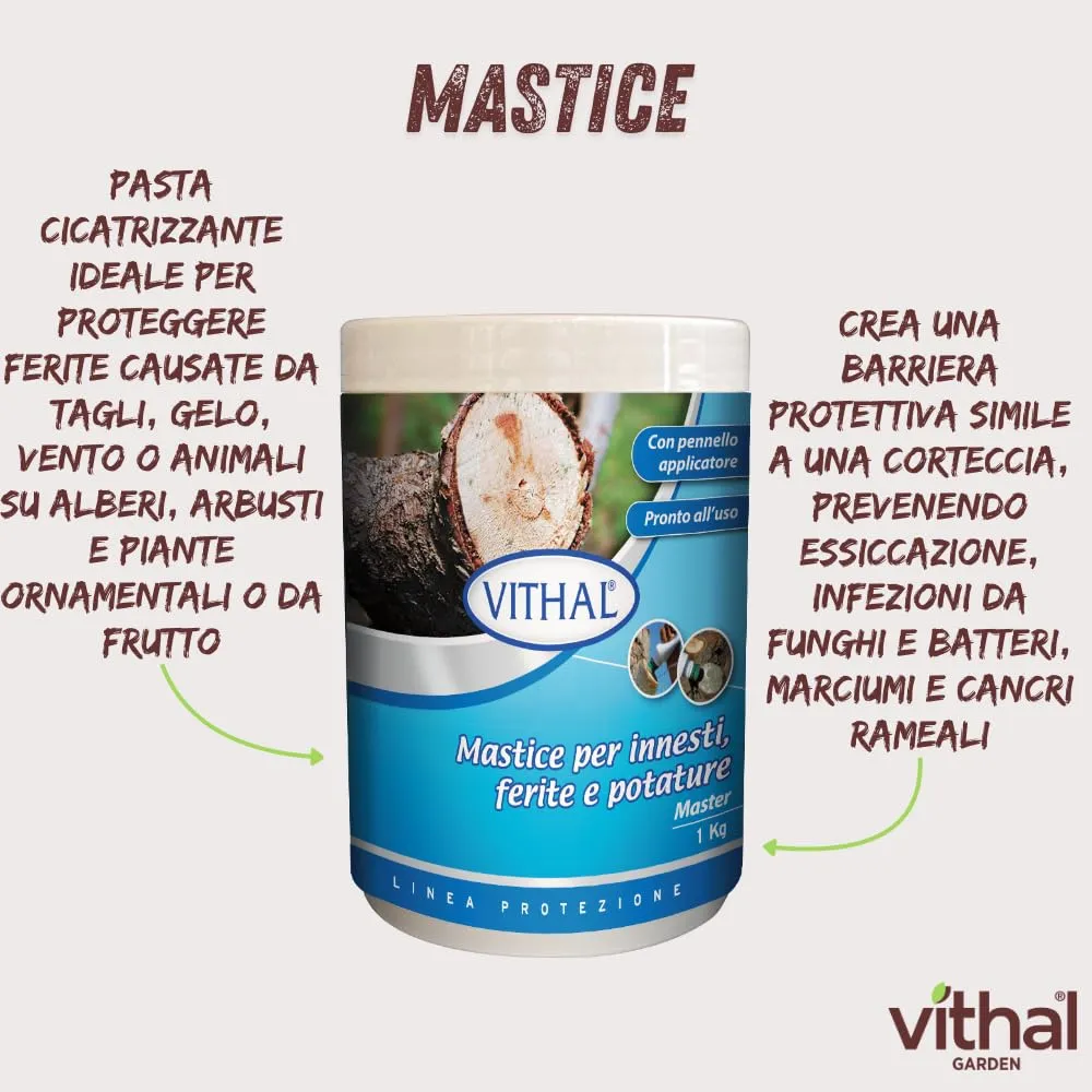 Vithal Mastice per Innesti cicatrizzante piante 1kg con pennello