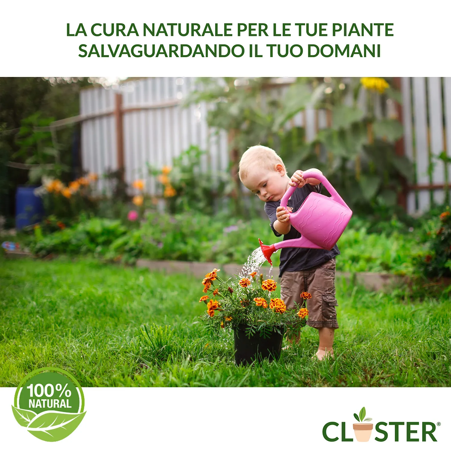 Closter Neem Polvere concime naturale 500 g organico azotato