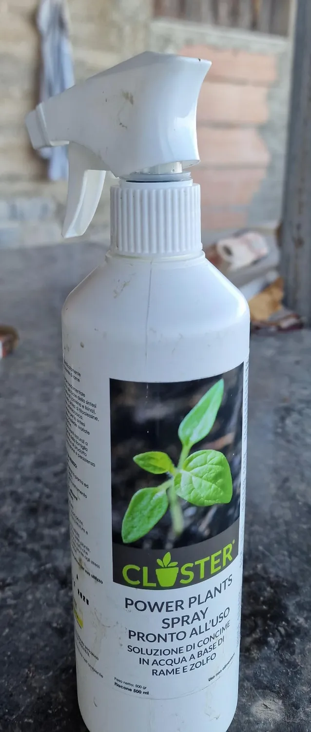 Closter Power Plants concime spray 500 ml rame e zolfo