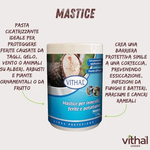 Vithal Mastice per Innesti cicatrizzante piante 1kg con pennello