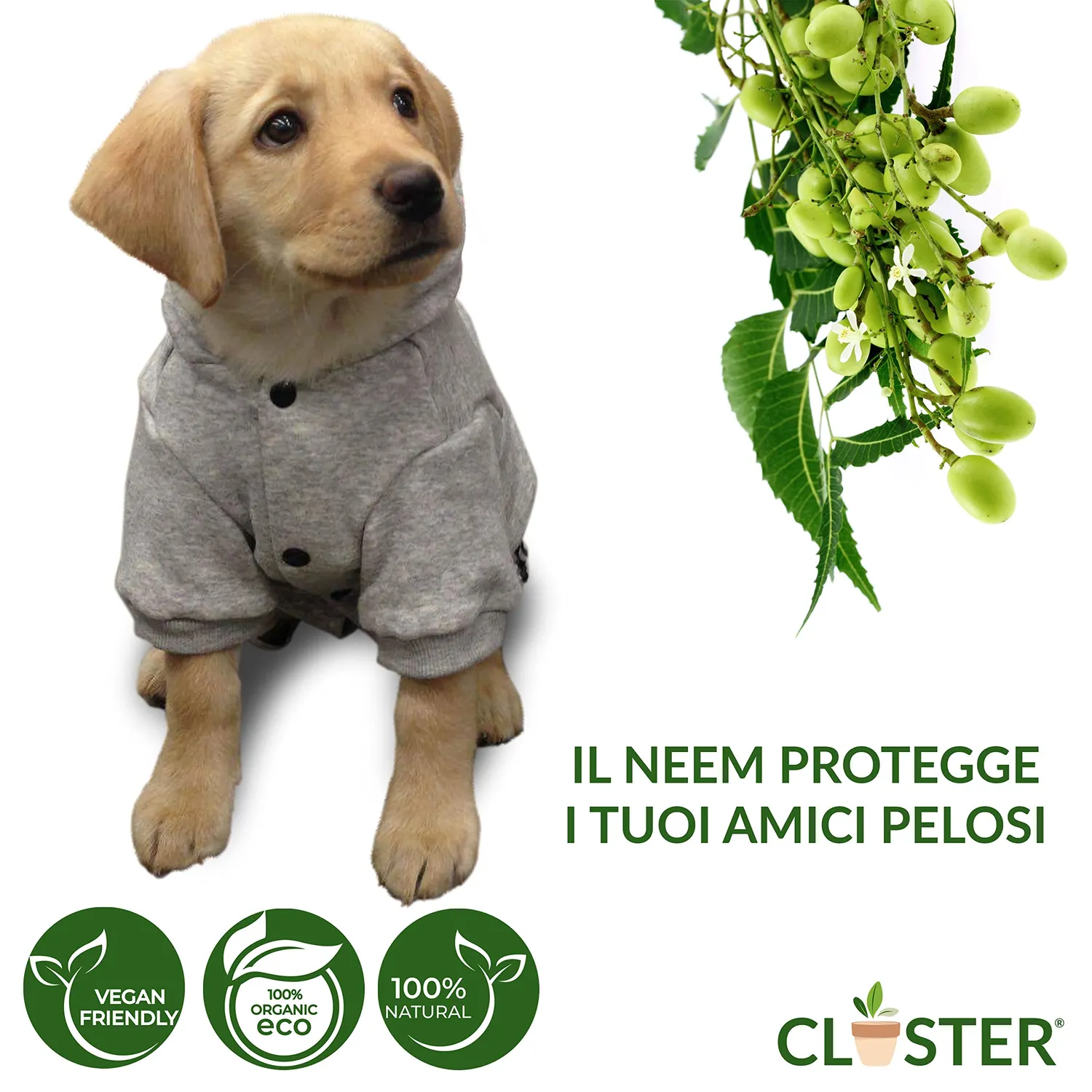 Closter Neem Pet Protection spray antiparassitario 500ml cani gatti