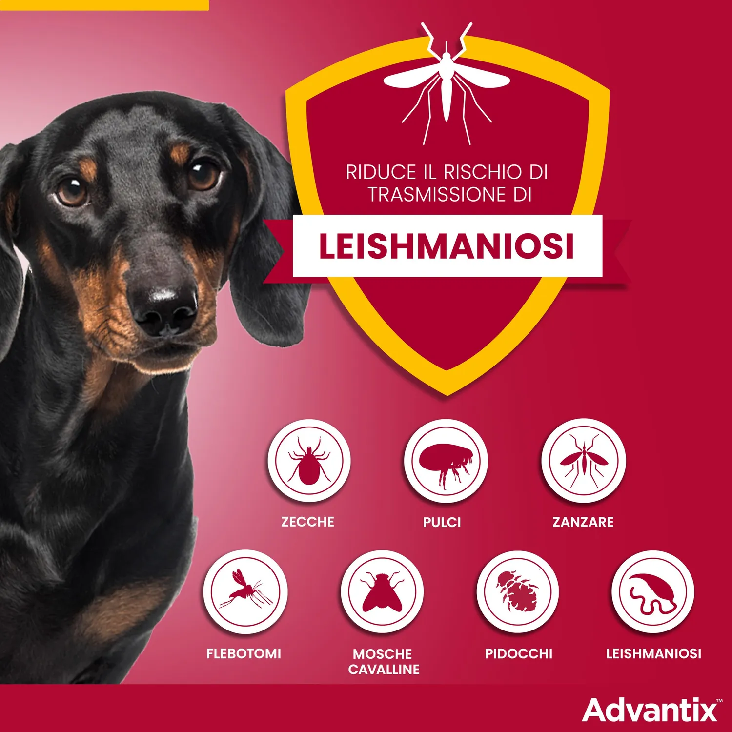Elanco Advantix spot-on cani fino a 4 kg 4 pipette 0,4 ml
