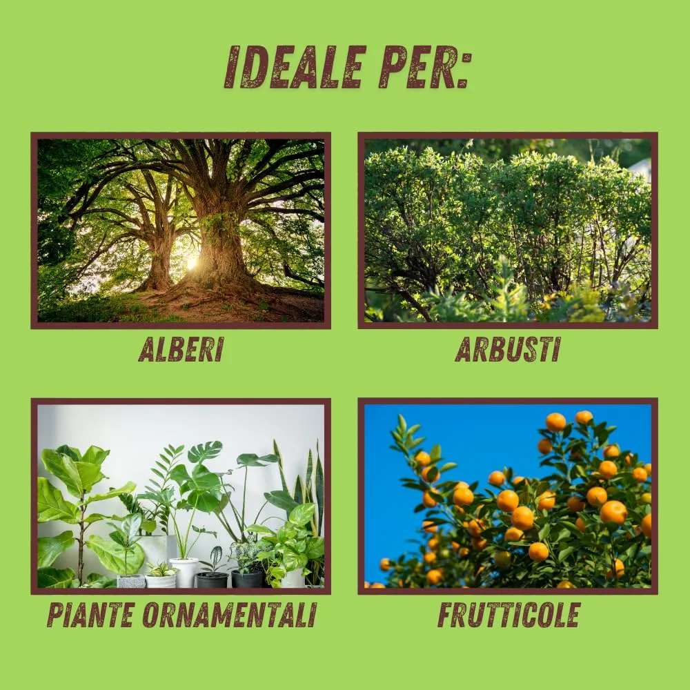 Vithal Mastice per Innesti protettivo