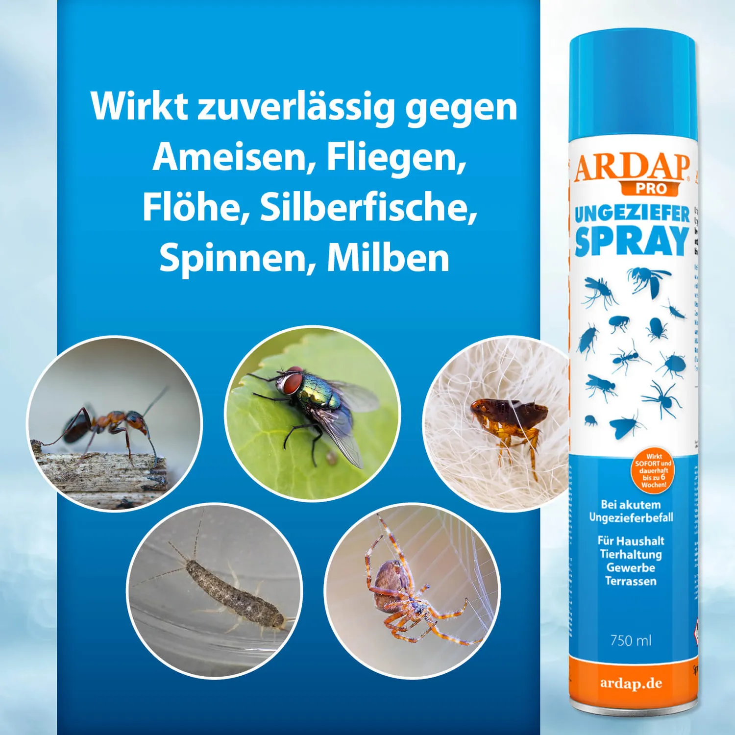 ARDAP Pro Spray Insetti 750 ml Contatto Rapido