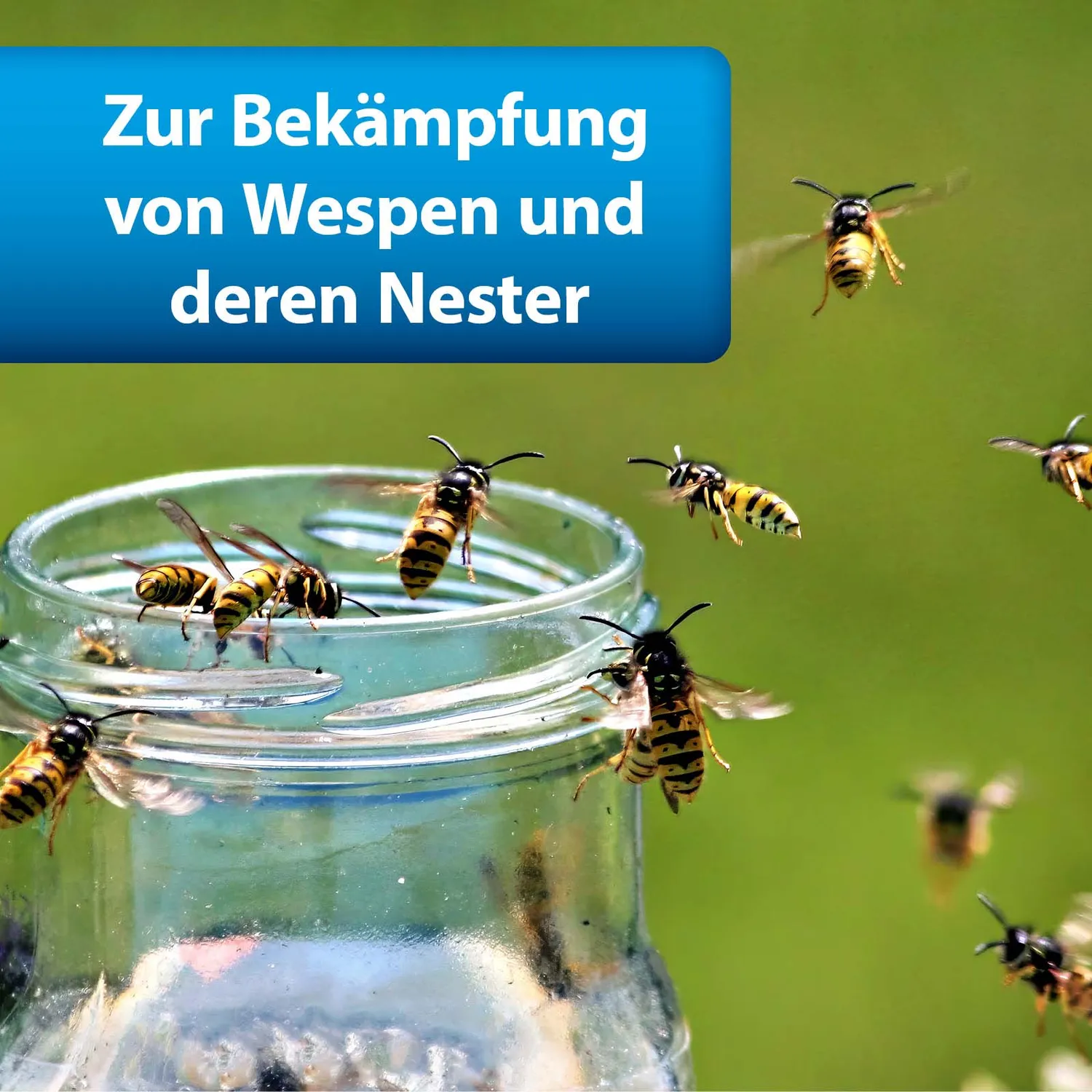 ARDAP Pro Wespen Powerspray spray per vespe 500 ml 4 metri