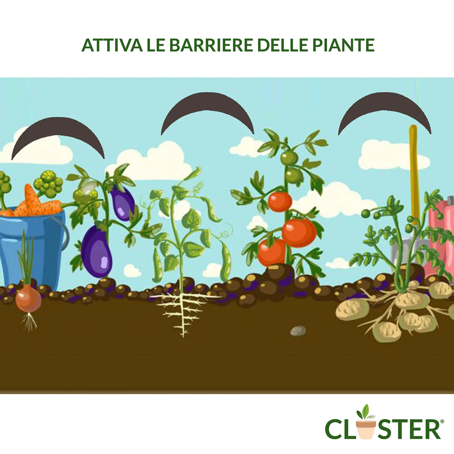 Closter Power Plants concime spray 500 ml rame e zolfo