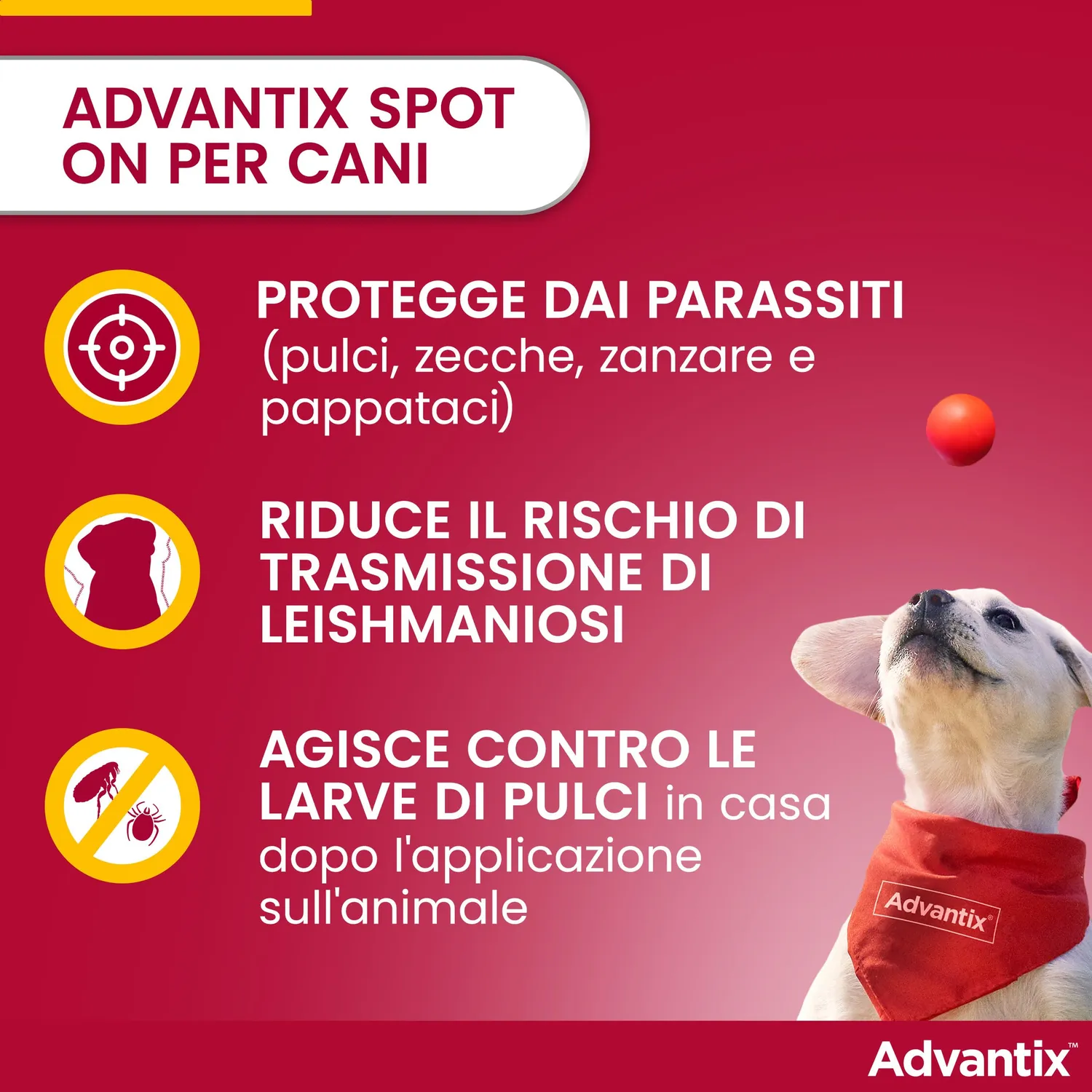 Elanco Advantix spot-on cani fino a 4 kg 4 pipette 0,4 ml