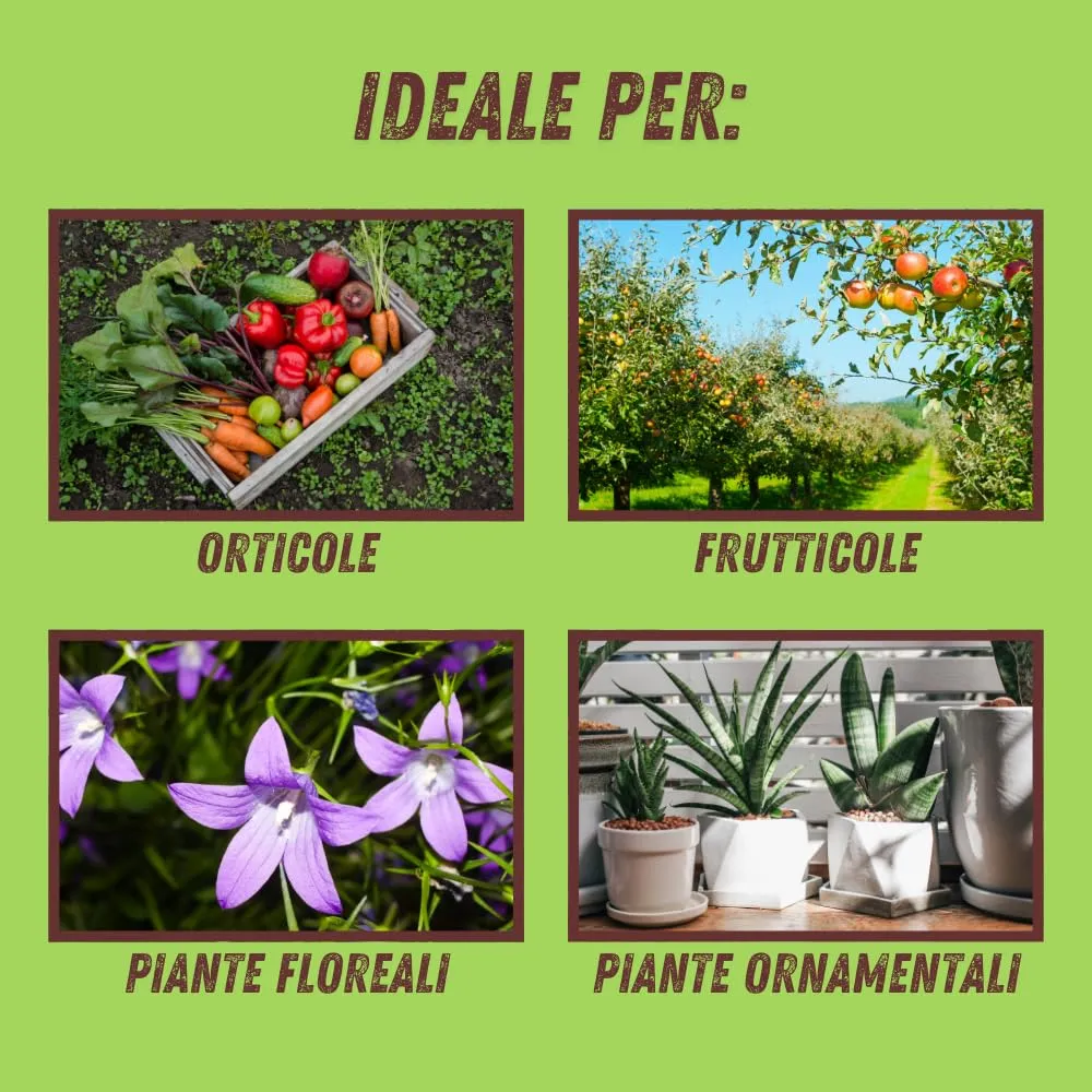 Vithal Bio Diatomite polvere roccia integratore 750 g bio