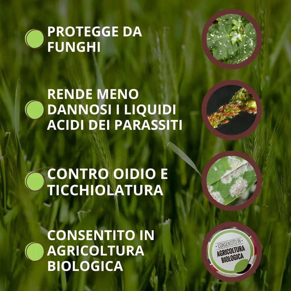 Vithal fungicida piante polvere 350 g bicarbonato