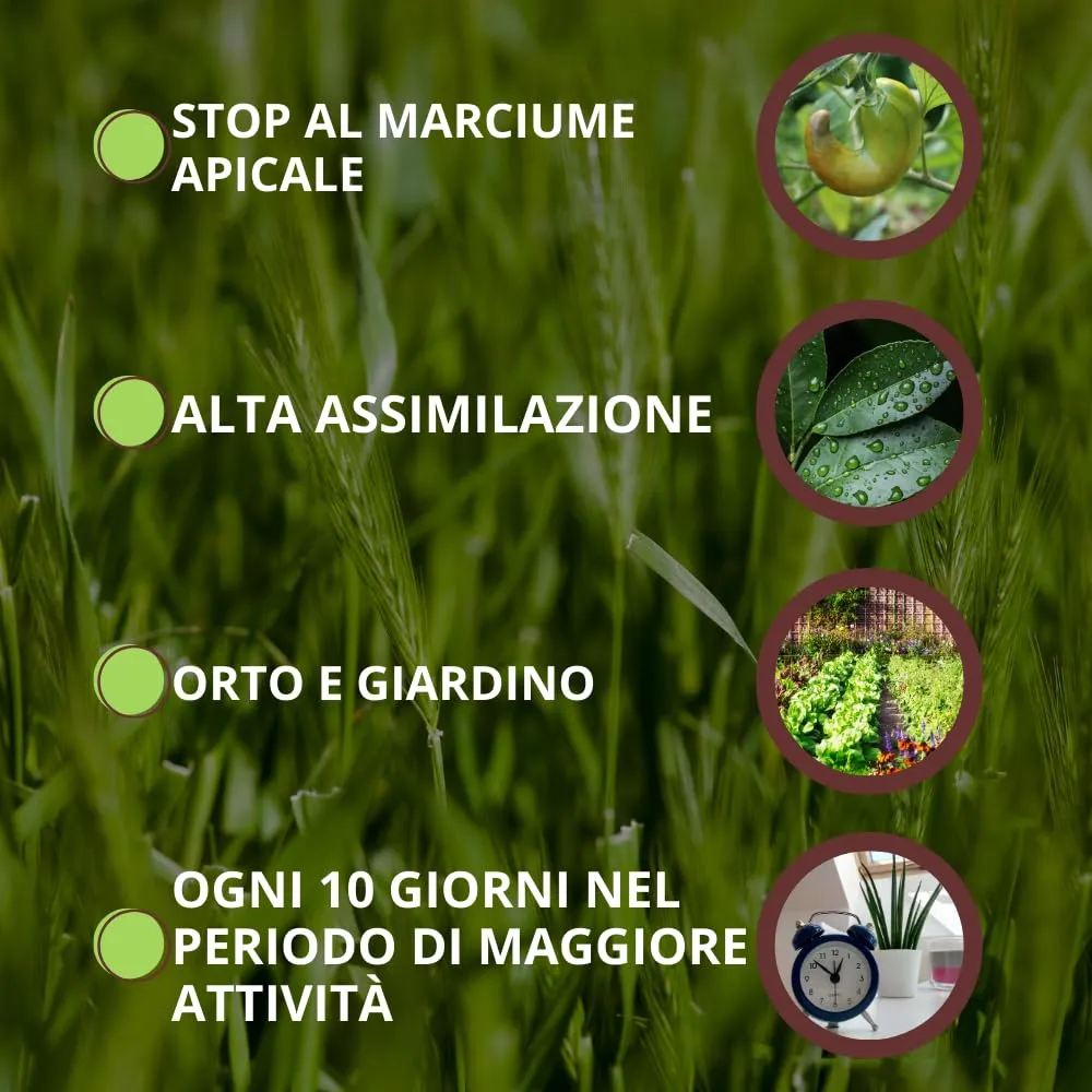 Vithal Procal contro carenze di calcio concime fogliare piante