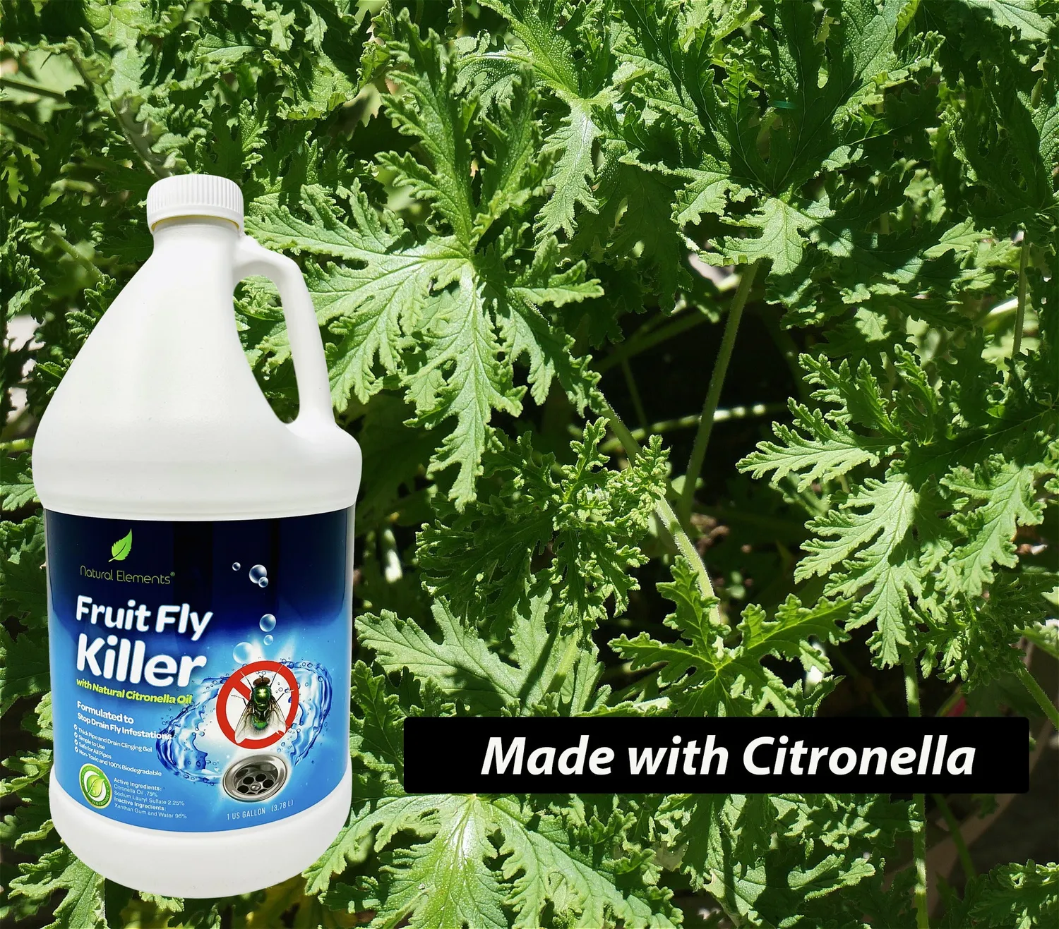 Natural Elements Fruit Fly Killer gel moscerini 3,78 L citronella