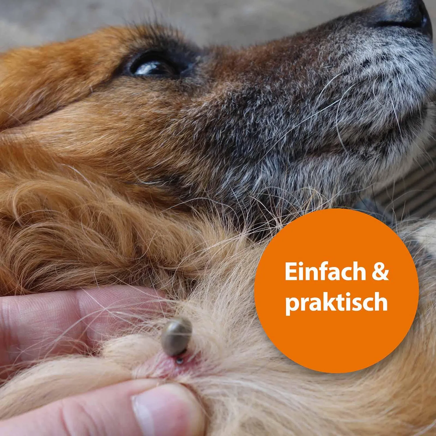 Ardap leva zecche cane e gatto set 3 pezzi sicura