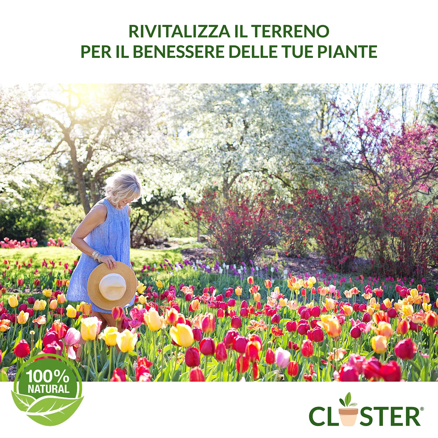 Closter Neem Polvere concime naturale 500 g organico azotato