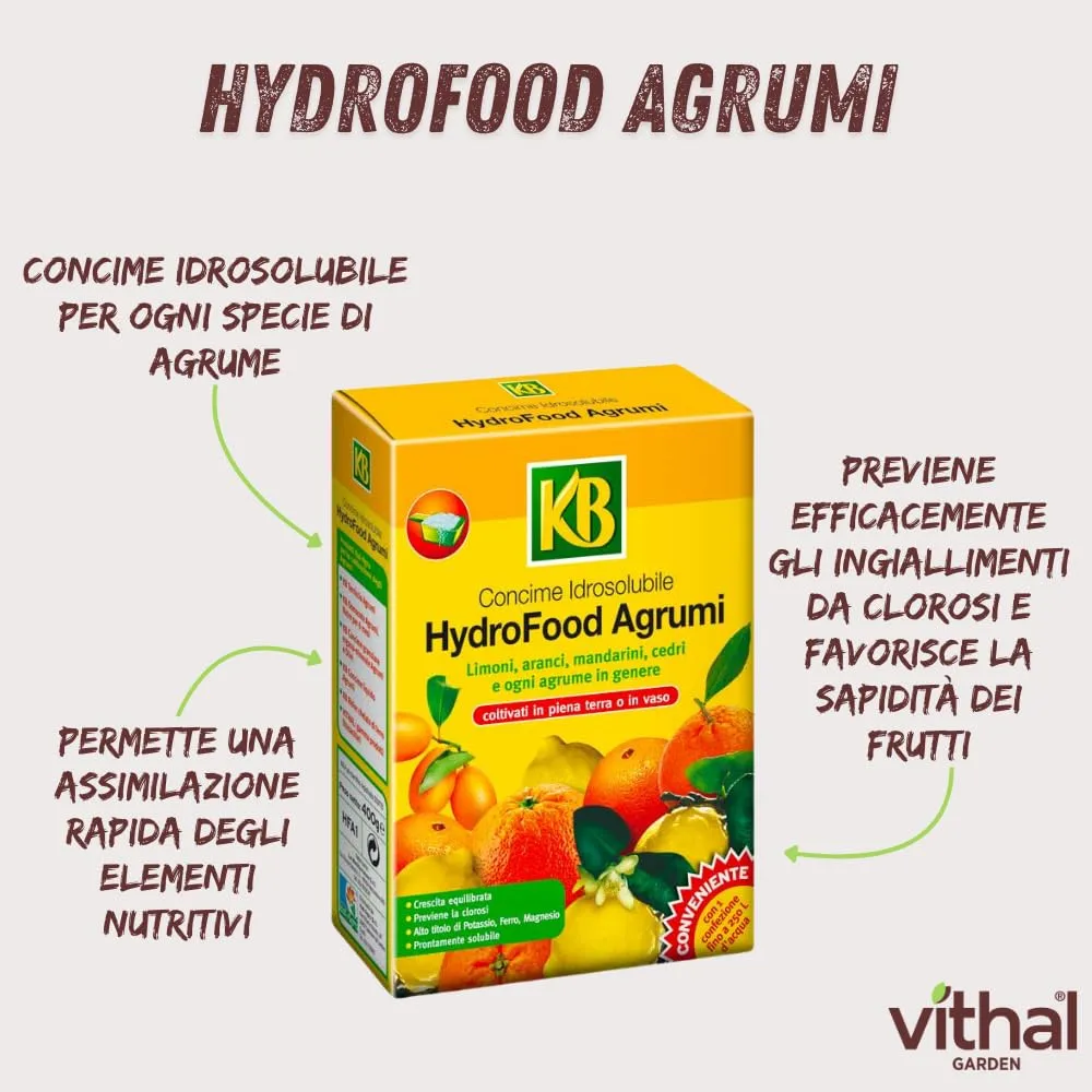 Vithal HydroFood Agrumi concime idrosolubile 400 g alto potassio
