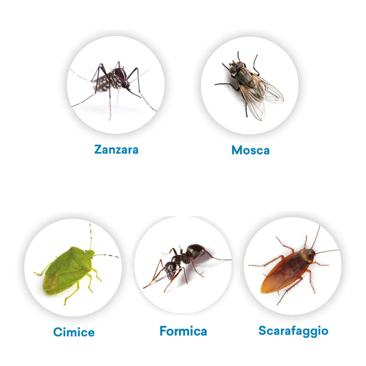 Vebi Draker 10.2 insetticida concentrato 1 litro zanzare blatte
