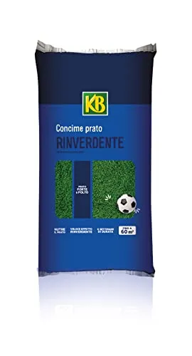 Vithal Rinverdente Antimuschio concime prato 5 kg con ferro