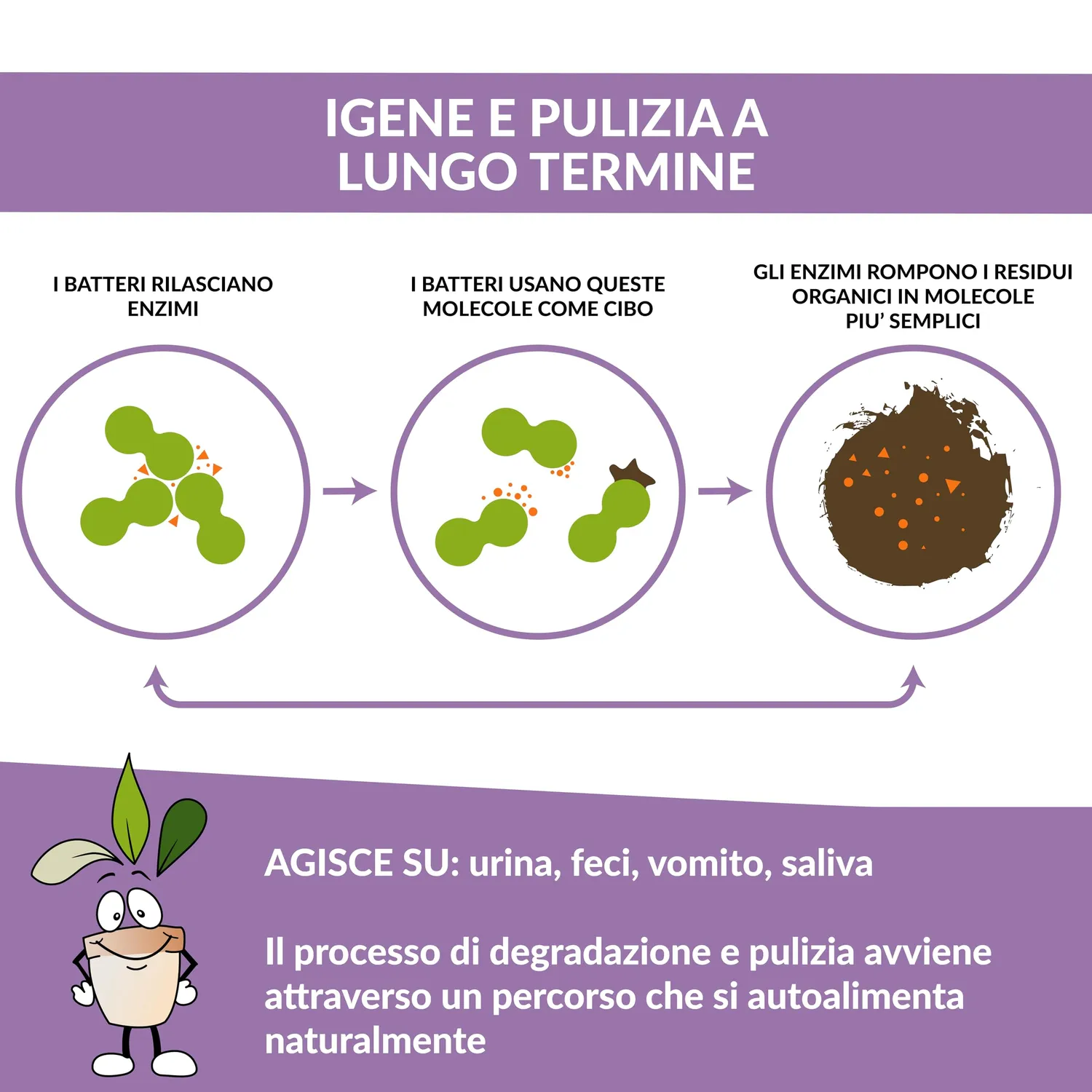 Closter PureAir Smacchiatore 750 ml lavanda alpina