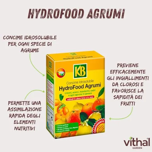 Vithal HydroFood Agrumi concime idrosolubile 400 g alto potassio